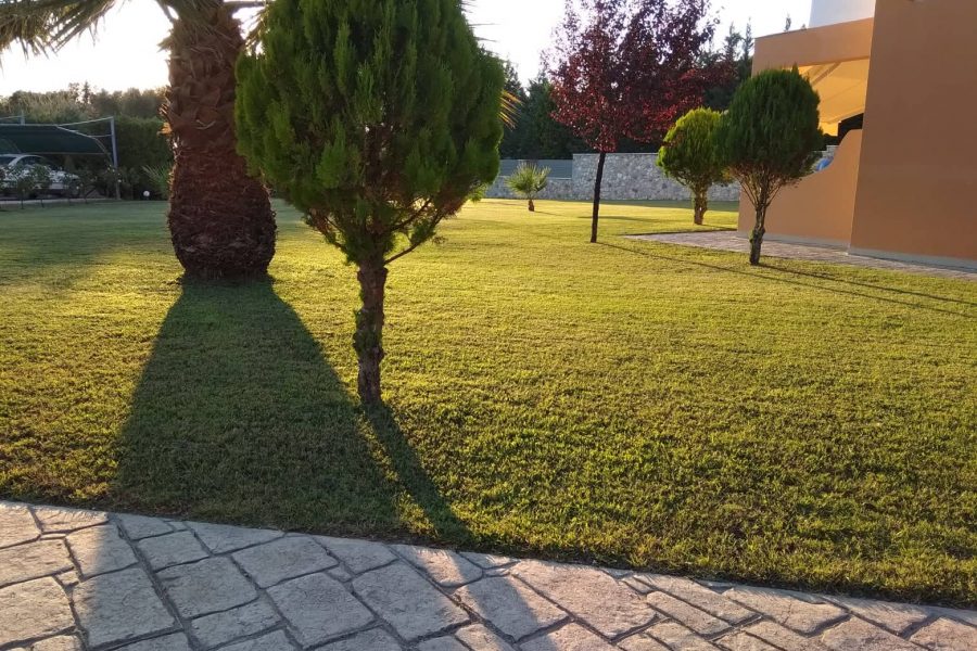 Εξωτερικός Χώρος